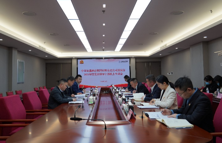庄闲游戏集团党委书记、董事长任丁出席安逸酒店集团2022年度党员领导干部民主生活会